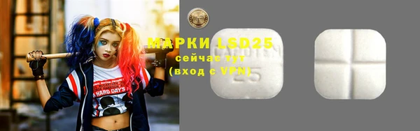 ПСИЛОЦИБИНОВЫЕ ГРИБЫ Струнино