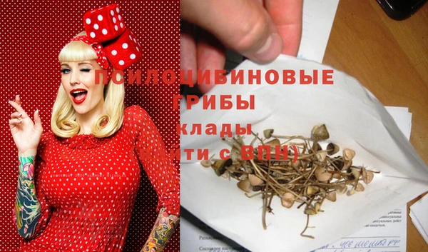 прущий лед Елабуга