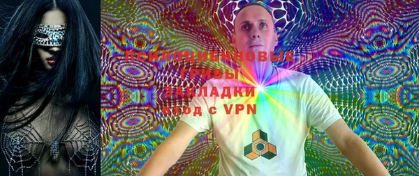 PSILOCYBIN Строитель
