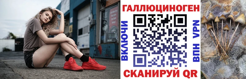 продажа наркотиков  гидра ссылка  Псилоцибиновые грибы Psilocybe  Сегежа 