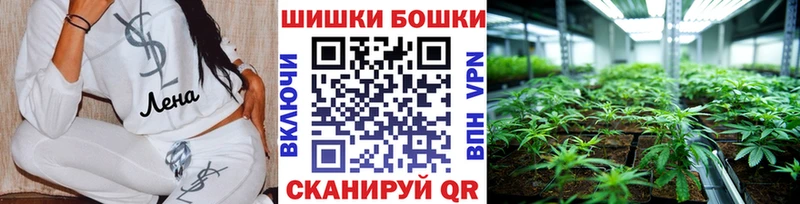 Бошки Шишки White Widow  omg сайт  Сегежа  даркнет сайт 